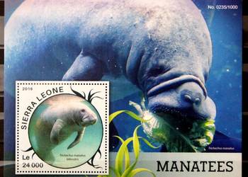 Sierra Leone ( manat)