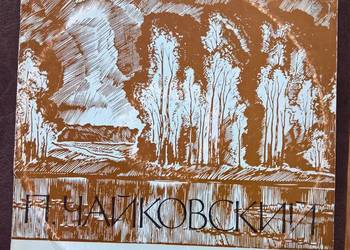 Płyty Winylowe Bpemeha