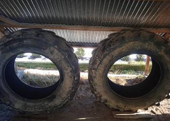 opony Minchelin OmniBib 520/70R38 150D