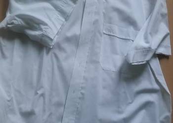 43, 176-182, XL,sirocco, koszula męska z kołnierzykiem,