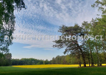 Sprzedam działka Grzmiąca 3511m2