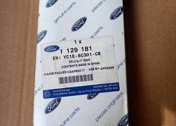 1129181 Pasek wieloklinowy 2.4 TDDi /TDCi Transit bez klimy