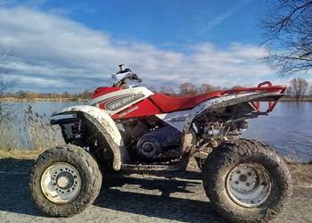 Quad Polaris 325