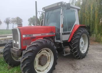 Massey Ferguson 3080 Stan Bardzodobry