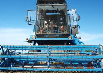 Sprzedam Bizon Rekord ZO58