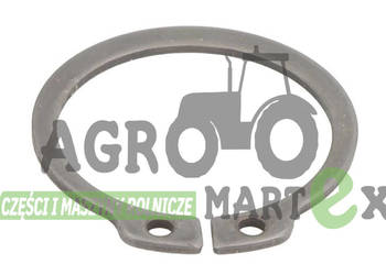 821/00494, 821-00494 ZABEZPIECZENIE SEGER JCB