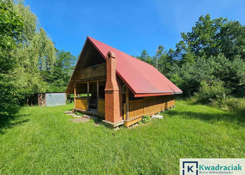 Działka Pietrusza Wola 19200m2