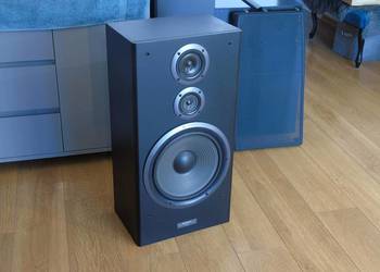 Kol. Pioneer CS-901 spr. bas 30 cm. DOSTAWA.