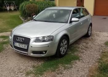 Audi A3 8P 1.9 TDI