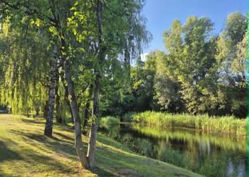 Działka ROD Morysin 300 m² z domkiem - Warszawa-Wilanów