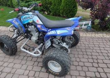 Yamaha Raptor 660 swap!!!!!