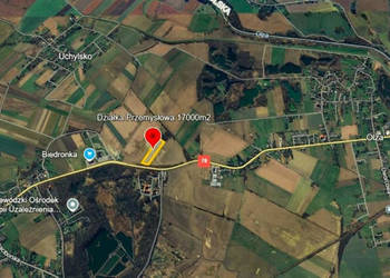 Do sprzedaży grunt 17000m2 Gorzyce