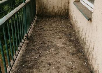Sprzątanie balkonu, Opole, Wałbrzych, Legnica, po gołębiach, dezynfekcja