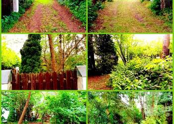 DWA DOMY MIESZKALNE CAŁOROCZNE NA WSI POD LASEM OKAZJA