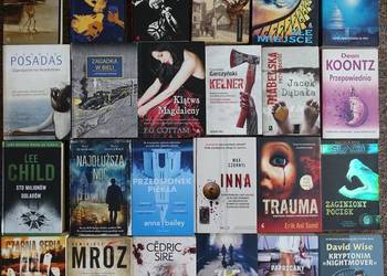 Zestaw - kryminał , thriler 24 książek