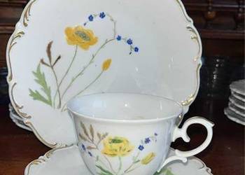 Filiżanka z talerzkiem. Tirschenreuther