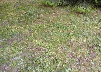 Oferta sprzedaży gruntu 1238m2 Michałowice