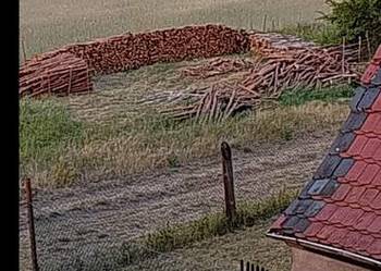 Drzewo opałowe Sosna brzoza czeremcha cięta mieszanka 165m