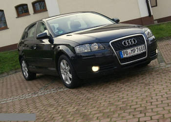 Audi A3 1.9TDi* czarny* 5DRZWI* bdb stan* KLIMA* alufelgi * 8P (2003-2012)