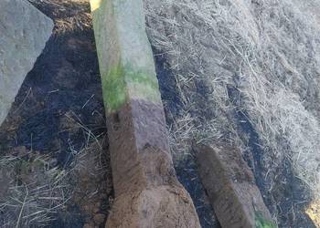 Antyczne słupy ogrodzeniowe z piaskowca