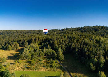 Działka leśna 20 700 m² – Kasina Wielka