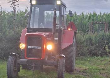 Ursus c4011