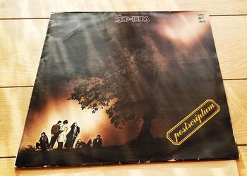 Winyl LP Pod  Budą -stan idealny + teksty utworów