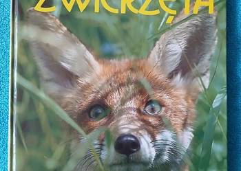 Leśne zwierzęta. Twarda okładka