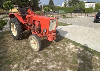 Władymirec T25