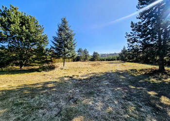 Działka budowlana 8600 m2 w klimatycznej miejscowości / Osuchów / Mszczonó…