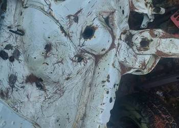 Ćwiartka Prawa Mercedes w123