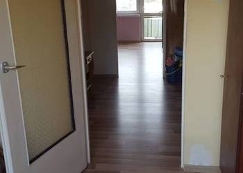 Mieszkanie 50 m2 po remoncie Ogrody