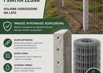 Słupki betonowe Siatka Leśna