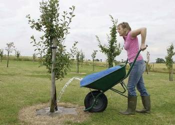 Zbiornik na wodę do taczki, 80 l ES29382