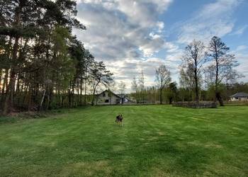 Sprzedam działkę budowlaną z warunkami zabudowy pod Gostyninem