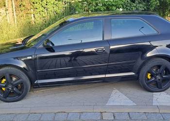 audi a3 8P  2003/4 1,9TDI