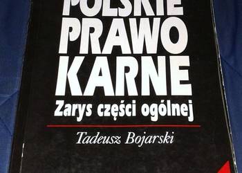 Polskie prawo karne. Zarys części ogólnej - Tadeusz Bojarski