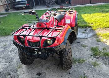 Yamaha bruin, grizzly 350