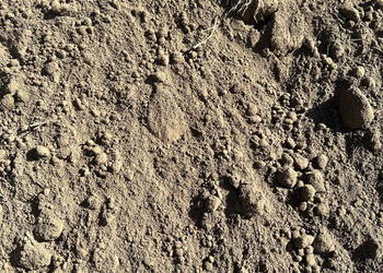 ZIEMIA OGRODOWA CZYSTA pod trawnik warzywa do ogrodu HUMUS z transportem