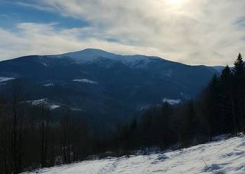 Wynajmę działki pod tiny house/ glamping w Górach CENA DO UZGODNIENIA!