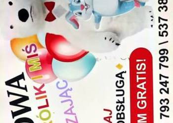 Imprezowy miśTomi,  panda Tosia , królik i zając