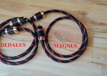 Ricable Magnus, Dedalus