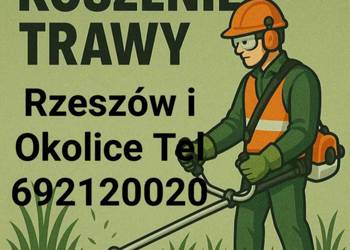 Koszenie traw działki przyćinka drzew wyćinka Rzeszów