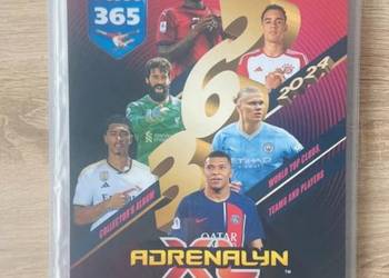 Karty FIFA 365 2024