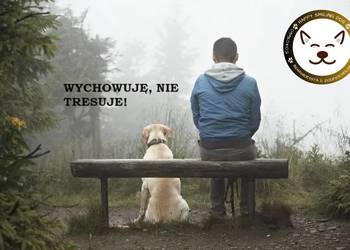 Behawiorysta / Zoopsycholog, konsultacje, szkolenie dla opiekunów psa