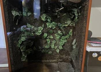 Duże pionowe terrarium