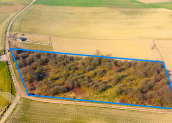 Oferta sprzedaży działki Czernica 7500m2