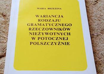 Wariancja rodzaju gramatycznego rzeczowników nieżywotnych w