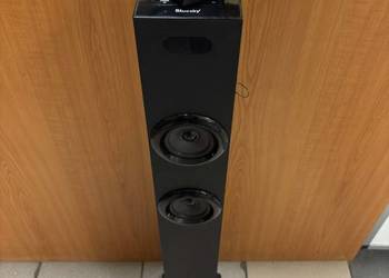 Bluesky BTST100 – Kolumna Głośnikowa typu Tower (100W)