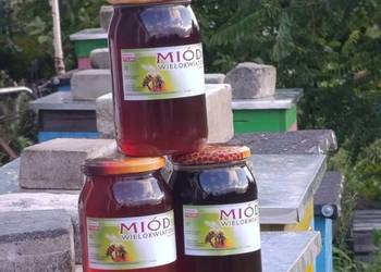 Miód wielokwiatowy